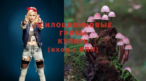 ALPHA PVP Богданович