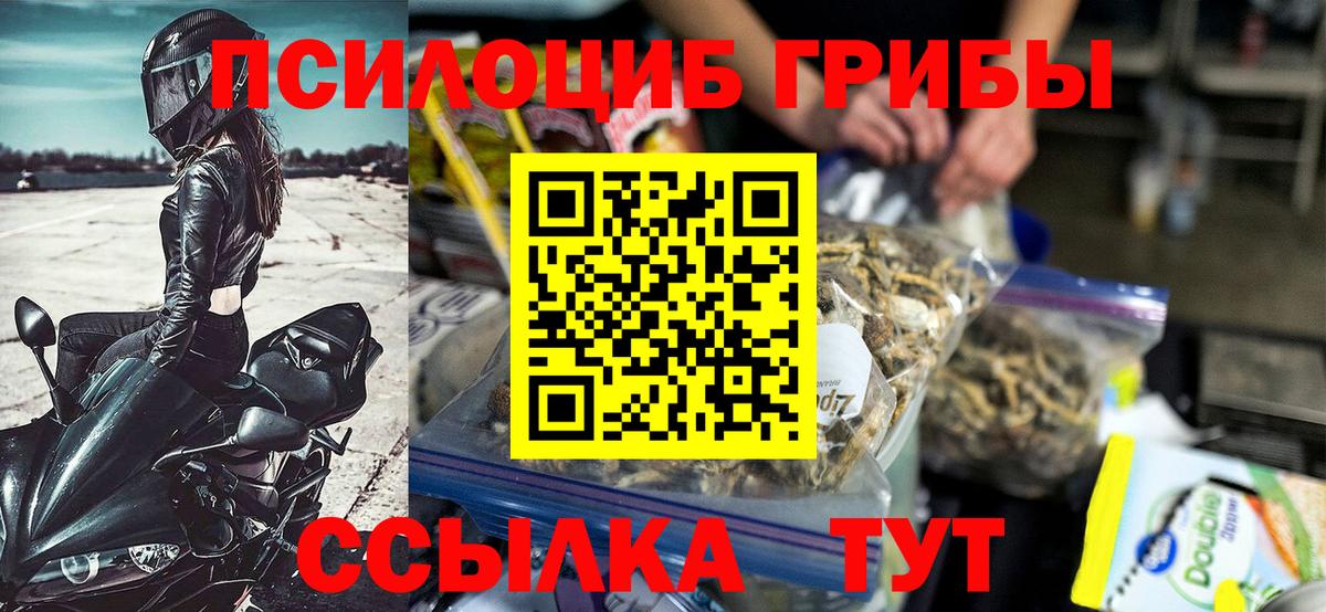 Псилоцибиновые грибы Cubensis Бугульма