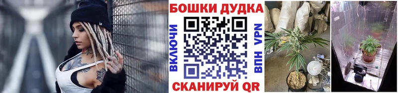 Бошки марихуана VHQ  кракен рабочий сайт  Бугульма 